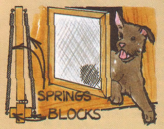 Bi-Monthly Almanac: Safe Toddler Swing, Swinging Pet Door, and Other Household Projects Image